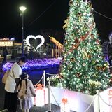 どまんなかたぬまで「冬の名物」 恒例のイルミネーション始まる 来年2月末まで