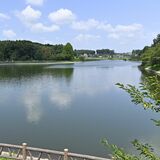 LRTでおいでよ！芳賀の観光スポット　梨パフェ、温泉、公園…シェアサイクルで巡ってみた