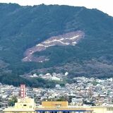山肌が突然むき出し、崩落か 花粉対策で計画的な森林整備 広葉樹などへ転換中