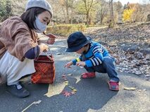 身近な落ち葉を楽しむ　大きな葉はお面に変身