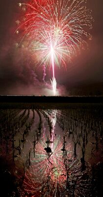 全国一斉花火　コロナ収束願う　佐野