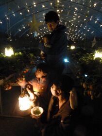 夜のイチゴ狩り　真岡・茂木