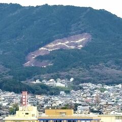 山肌が突然むき出し、崩落か　花粉対策で計画的な森林整備　広葉樹などへ転換中