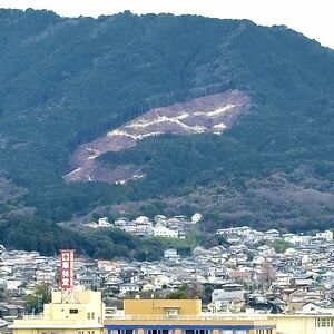 山肌が突然むき出し、崩落か　花粉対策で計画的な森林整備　広葉樹などへ転換中