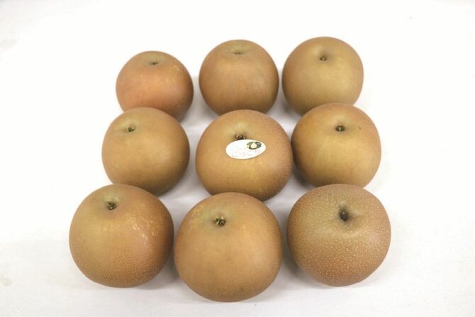 最盛期を迎えた「にっこり」