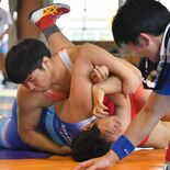 レスリング個人フリー、足大付勢が８階級独占　アーチェリー男子団体は鹿沼…