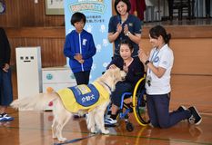 児童が介助犬とふれあい　大田原