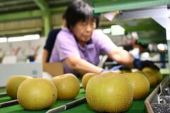 猛暑でも品質申し分ナシ