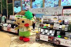 「情勢懸念」よそに大好評