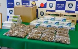 大麻２・９キロ密輸未遂疑い