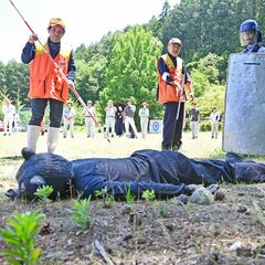 矢板でクマ対応訓練　市街地出没を想定、緊急銃猟の手順を確認《動画あり》