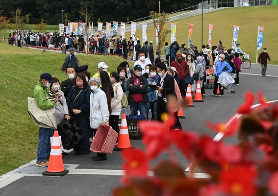 飾り花の無料配布にできた長蛇の列＝10月13日
