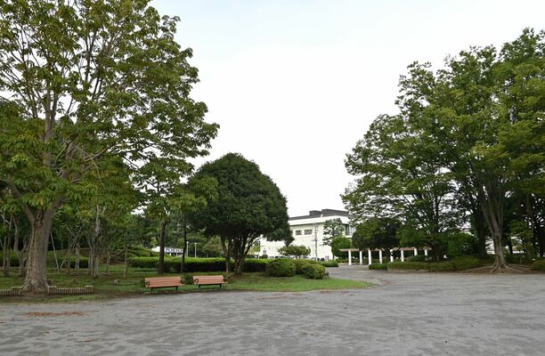 宇都宮ブレックスの新アリーナ建設候補地の宇都宮駅東公園。奥は現アリーナの市体育館＝７日午後３時４０分、宇都宮市元今泉５丁目