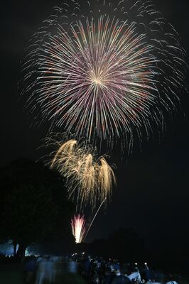 夏の夜空を彩った大輪の花火