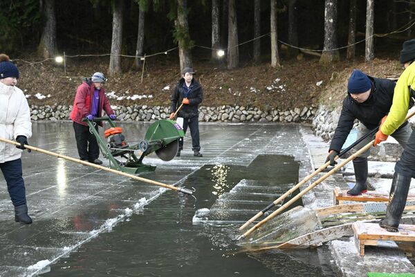製氷池から切り出される天然氷