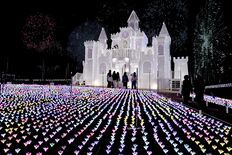 500万球で彩る“光の庭”　あしかがフラワーパーク【動画】