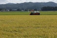 25年産米、67万トン超増加