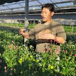 塩谷特産スプレーマム、担い手確保へ　生産者と関係団体が協議会設立　地域…