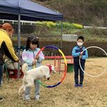 道の駅もてぎで「春まつり」にぎわい　14日までは桜ライトアップ　地元飲…
