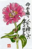 読者登壇