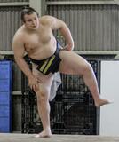 綱とり安青錦に注目