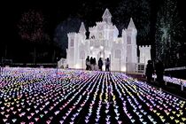 あしかがフラワーパークのイルミ