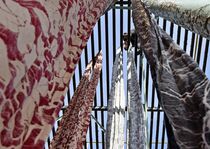 「ろうけつ染め」の浴衣天日干し　宇都宮