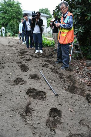 畑のそばに点々と残るクマのものとみられる足跡＝７日午後５時50分、宇都宮市西川田町、河野光吉撮影