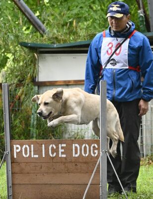 障害物を飛び越える出場犬＝６日午後、下野市中大領

