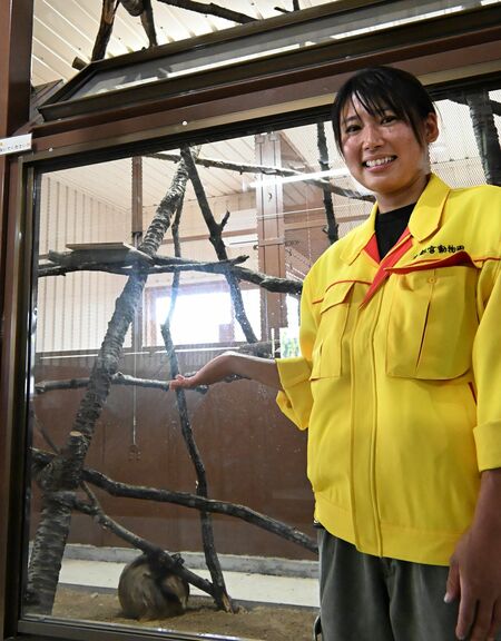 29日にオープンする室内展示場。ミーアキャットとフタユビナマケモノの展示スペースは上部が開放されている