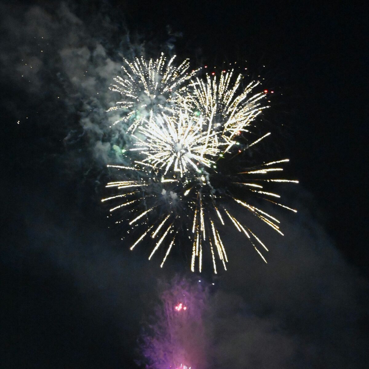 花火500発が5月の夜空に彩り 足利・須永花火田島煙火工場が主催「2024