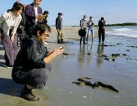 「露地池」ウナギ、川に放流