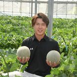 メロン栽培、期待のルーキーは24歳　「メロンと言えば石下」目指して