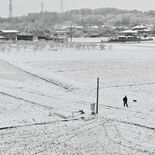 栃木県内、４日昼前にかけて北部山地で大雪の恐れ　交通障害やなだれに注意