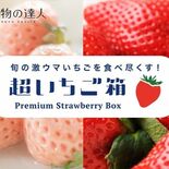 全国のブランドイチゴを堪能　最大12種食べ比べ商品発売　栃木県からは「…