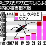 外来カミキリ被害が過去最多3236本　初確認から７年で400倍　県内2…