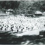 わがまちの変遷　茂木の人口　戦後のピークから２万人減