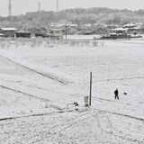栃木県内、警報級大雪の可能性低くなる 北部山地は大雪やなだれに引き続き注意を
