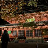 世界遺産「日光の社寺」ライトアップ　登録25周年を記念　29日からイベントも