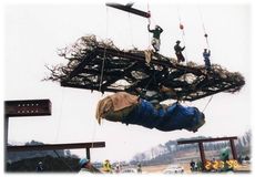 わがまちの変遷　あしかがフラワーパーク　日本を代表する観光地に発展