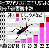 外来カミキリ被害が過去最多3236本　初確認から７年で400倍　県内2023年度、12市町に拡大