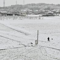 栃木県内、警報級大雪の可能性低くなる　…