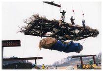 【平成トラベラー】８年　あしかがフラワーパーク