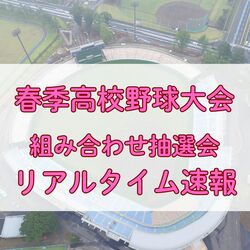 春季栃木県高校野球大会　13日午後に組み合わせ抽選会　リアルタイムで速報