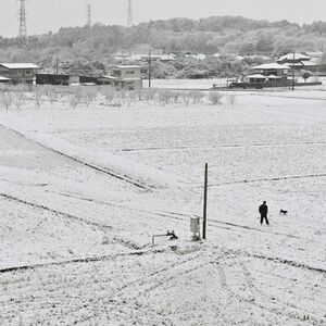 栃木県内、警報級大雪の可能性低くなる　北部山地は大雪やなだれに引き続き注意を　