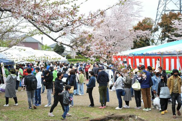 桜が咲き誇る中で行われたさくらまつり
