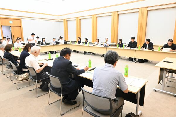 県が災害拠点精神科病院の指定などについて報告した審議会＝13日午後、県庁

