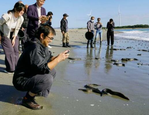 天竜川河口に放流したウナギを見守る養鰻業関係者ら=7日午前、浜松市