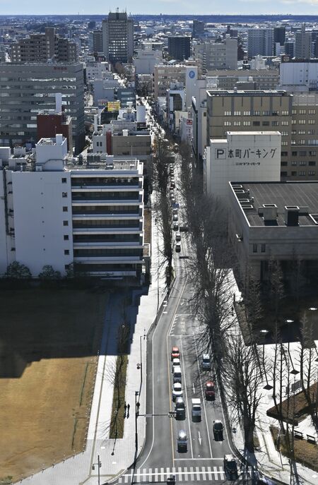 県庁と宇都宮市役所をつなぐシンボルロード。新年度は県道部分の拡幅に向け、芝生広場に隣接するＮＴＴ施設の調査などが実施される＝県庁15階展望ロビーから