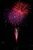 黒羽の夜空を色鮮やかに彩った花火＝15日夜